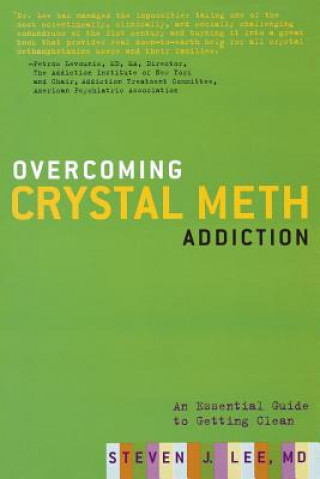 Book Overcoming Crystal Meth Addiction Steven Lee