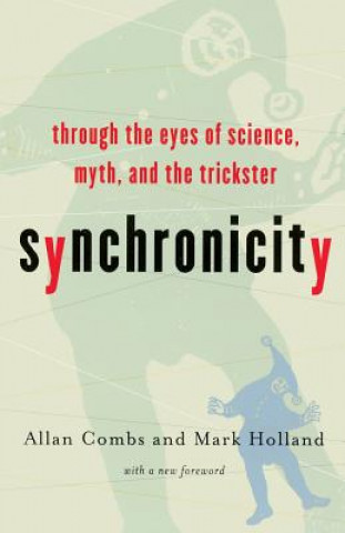 Kniha Synchronicity Mark Holland