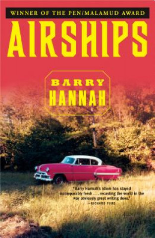 Kniha Airships Barry Hannah