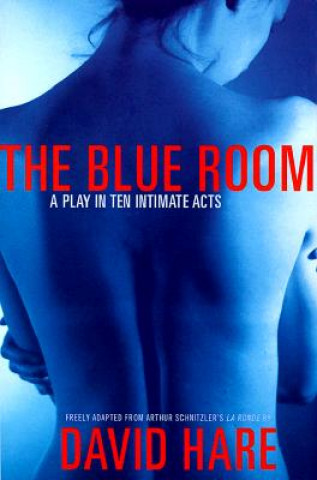 Kniha Blue Room Arthur Schnitzler