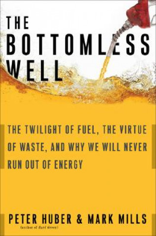 Knjiga Bottomless Well Mark P. Mills