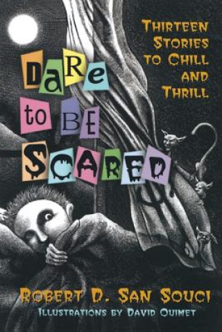 Könyv Dare to Be Scared SAN SOUCI  ROBE