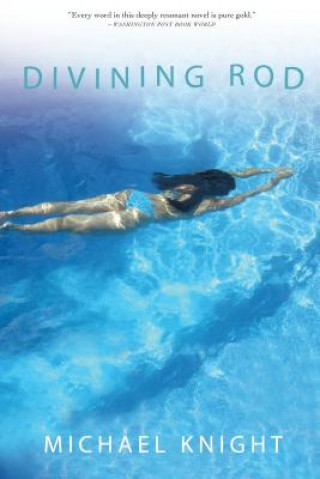 Book Divining Rod Michael Knight