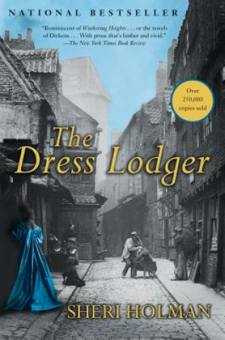 Book Dress Lodger Sheri Holman