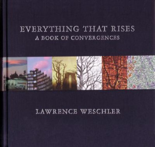 Book Everything That Rises Lawrence Weschler