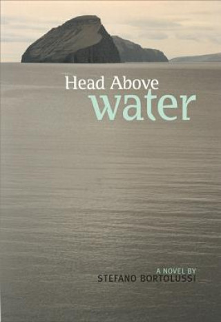 Libro Head Above Water Stefano Bortolussi