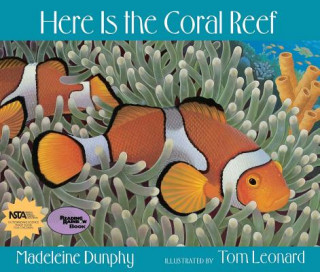Carte Here Is the Coral Reef Madeleine Dunphy
