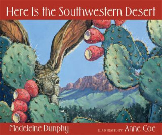 Książka Here Is the Southwestern Desert Madeleine Dunphy