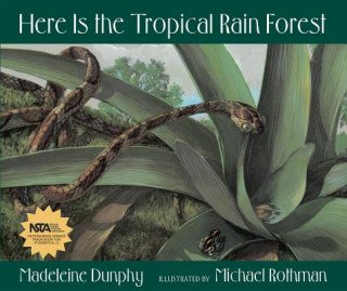 Book Here Is the Tropical Rain Forest Madeleine Dunphy