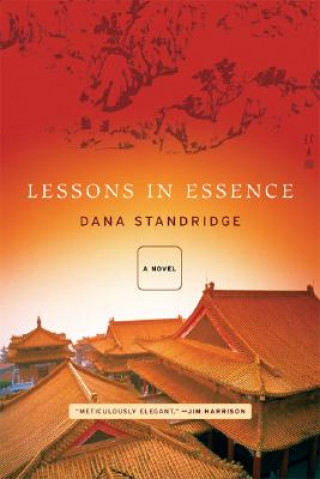 Kniha Lessons In Essence Dana Standridge