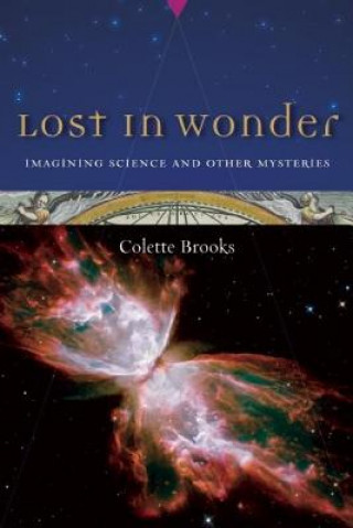 Könyv Lost In Wonder Colette Brooks