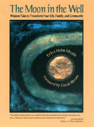 Kniha Moon in the Well Erica Helm Meade