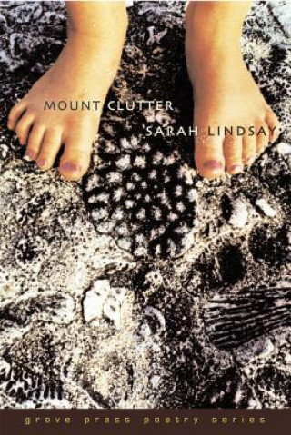 Könyv Mount Clutter Sarah Lindsay