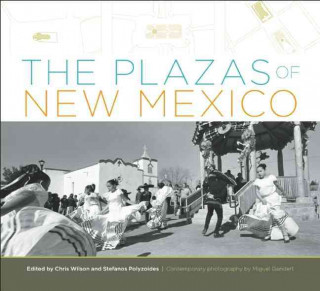 Buch Plazas of New Mexico Stefanos Polyzoides