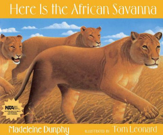 Kniha Here Is the African Savanna Madeleine Dunphy