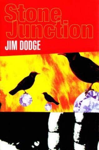 Kniha Stone Junction Dodge