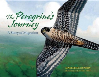 Buch Peregrine's Journey Madeleine Dunphy