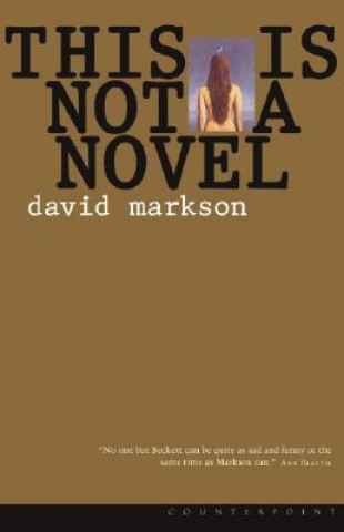 Kniha This is Not a Novel David Markson