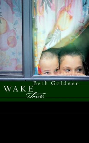 Книга Wake Beth Goldner