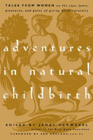 Kniha Adventures in Natural Childbirth Janet Schwegel