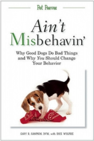 Knjiga Ain't Misbehavin' Gary Sampson