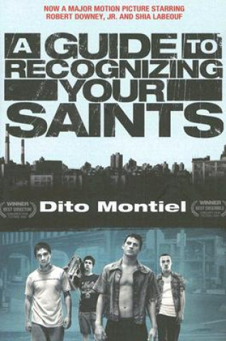 Livre Guide to Recognizing Your Saints Dito Montiel