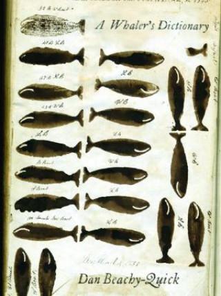 Boek Whaler's Dictionary Dan Beachy-Quick