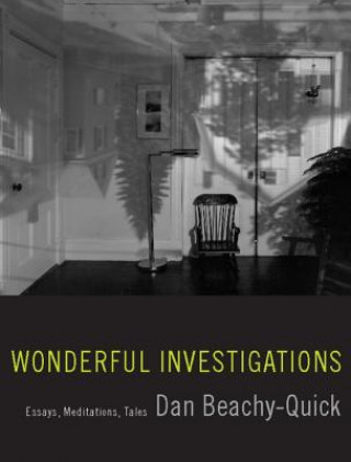 Książka Wonderful Investigations Dan Beachy-Quick