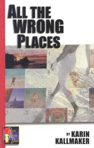 Kniha All the Wrong Places Karin Kallmaker