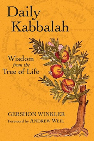 Knjiga Daily Kabbalah Gershon Winkler