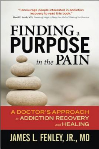 Kniha Finding a Purpose in the Pain James L. Fenley Jr.