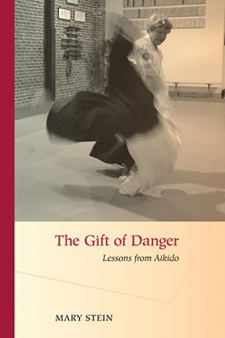 Buch Gift of Danger Mary Stein