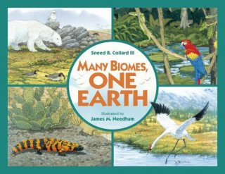 Książka Many Biomes, One Earth James Needham