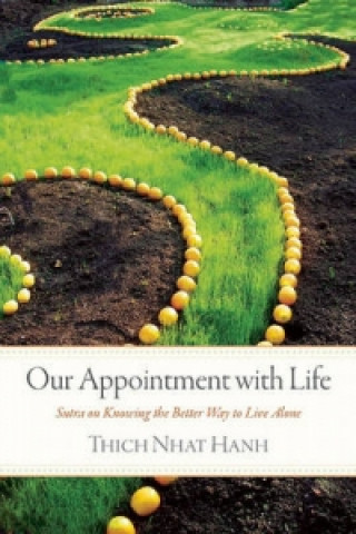 Buch Our Appointment With Life Thich Nhat Hanh