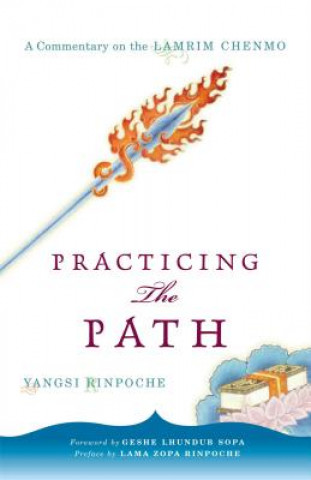 Knjiga Practicing the Path Yangsi Rinpoche