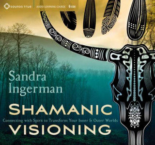 Аудио Shamanic Visioning Sandra Ingerman