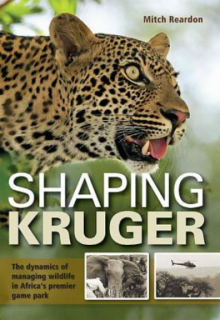 Kniha Shaping Kruger Mitch Reardon
