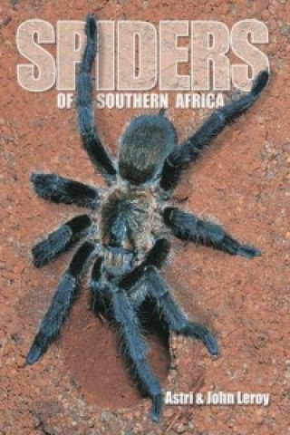 Kniha Spiders of Southern Africa John Leroy