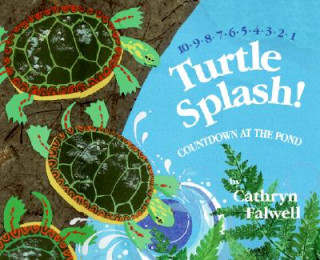 Kniha Turtle Splash! Cathryn Falwell