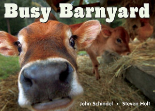 Kniha Busy Barnyard John Schindel