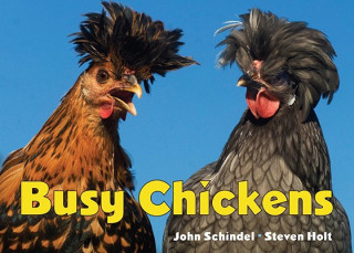 Książka Busy Chickens Steven Holt