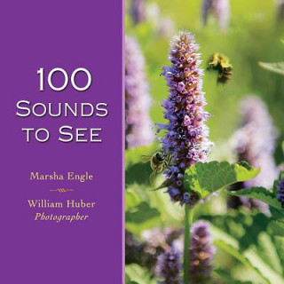 Kniha 100 Sounds to See Marsha Engle