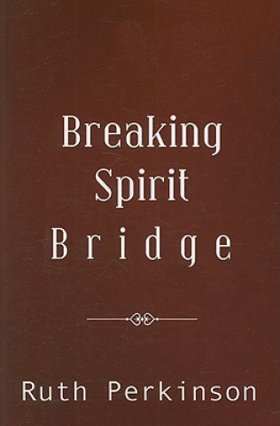 Kniha Breaking Spirit Bridge Ruth Perkinson