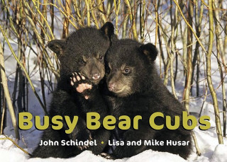 Kniha Busy Bear Cubs Lisa Husar