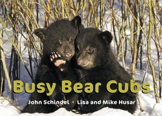 Książka Busy Bear Cubs Lisa Husar