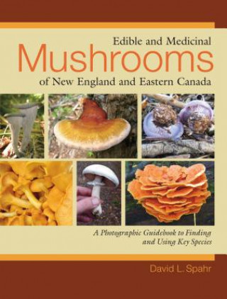 Könyv Edible and Medicinal Mushrooms of New England and Eastern Canada David L. Spahr