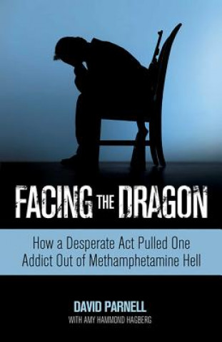 Knjiga Facing the Dragon Amy Hagberg
