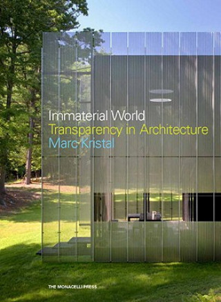 Kniha Immaterial World Mark Kristal