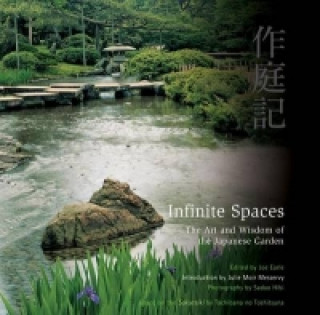 Könyv Infinite Spaces 