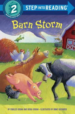 Könyv Barn Storm Debra Ghigna